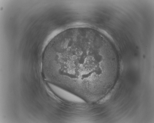 X0000065261413200602242103