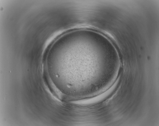 X0000065261414200602242103