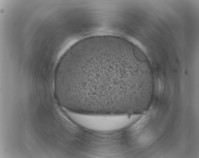 X0000065261415200602242103