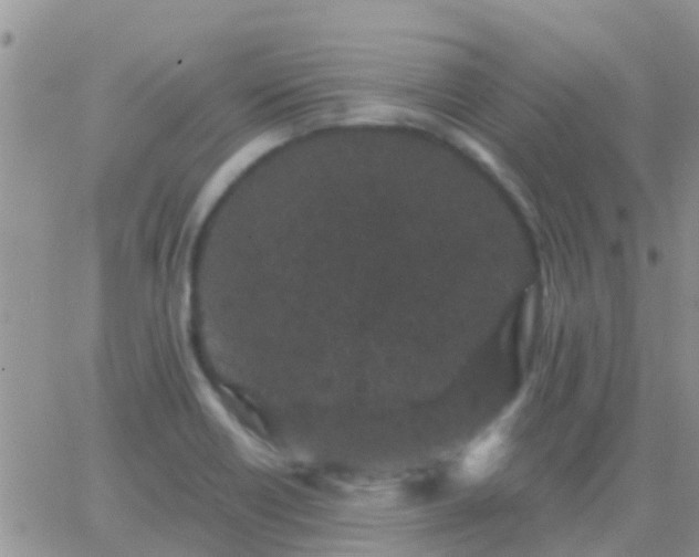 X0000065261418200602242103