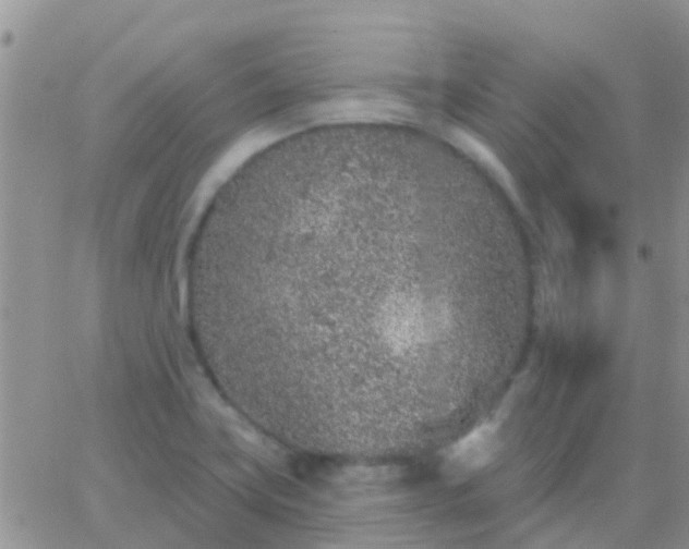 X0000065261419200602242103