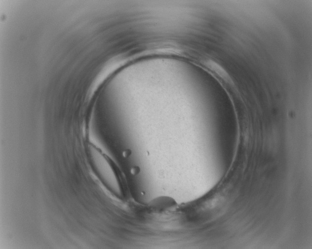 X0000065261420200602242103