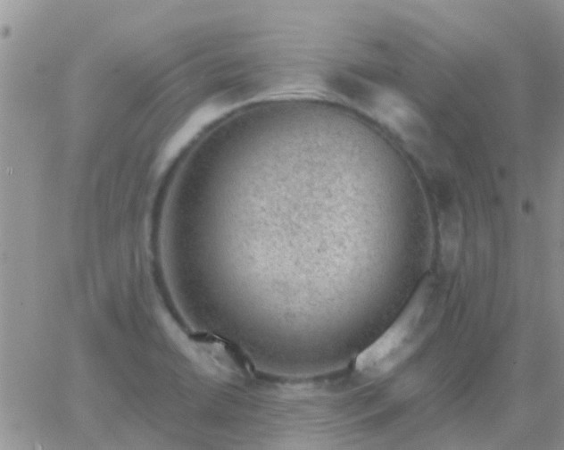 X0000065261422200602242103