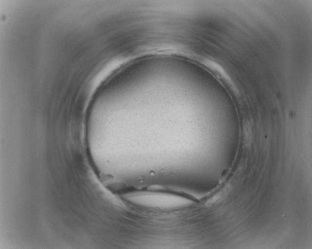 X0000065261424200602242103