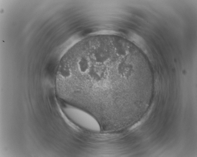 X0000065261425200602242103