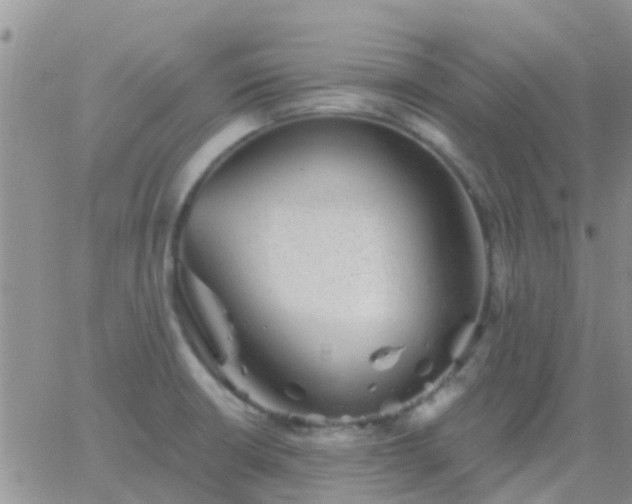 X0000065261426200602242103