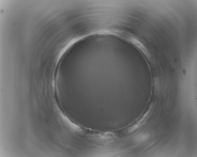 X0000065261428200602242103