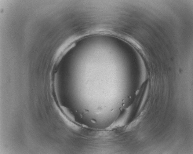 X0000065261430200602242103