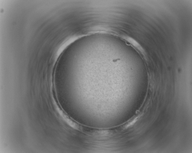 X0000065261431200602242103