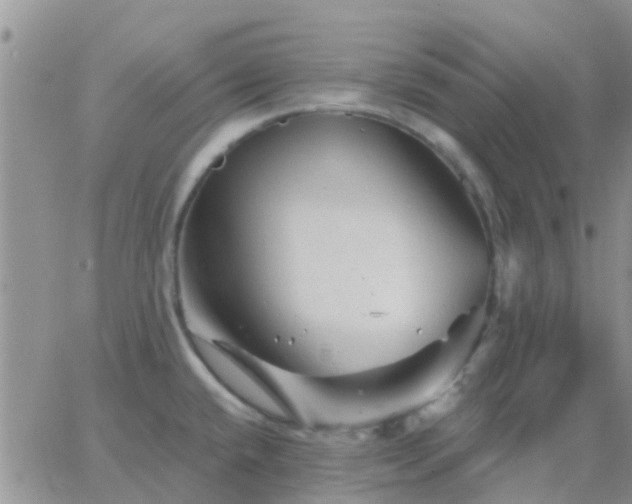 X0000065261432200602242103