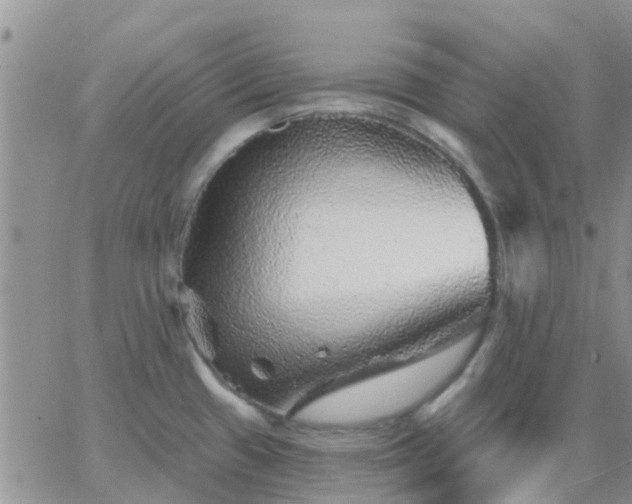 X0000065261433200602242103