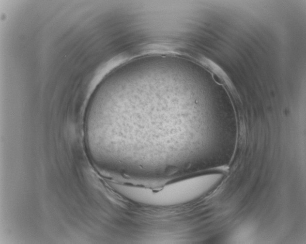 X0000065261435200602242103