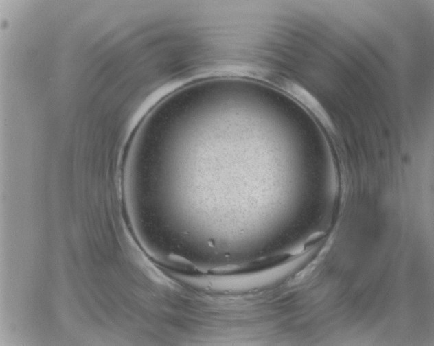 X0000065261436200602242103