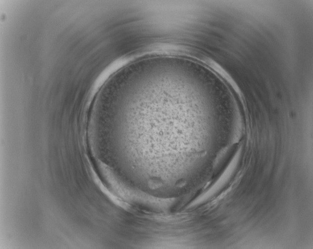 X0000065261437200602242104