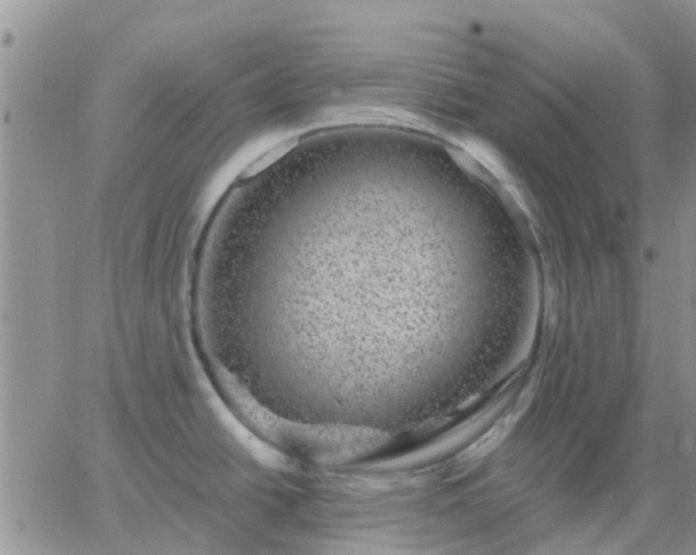 X0000065261438200602242104