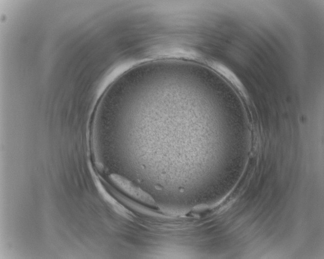 X0000065261439200602242104