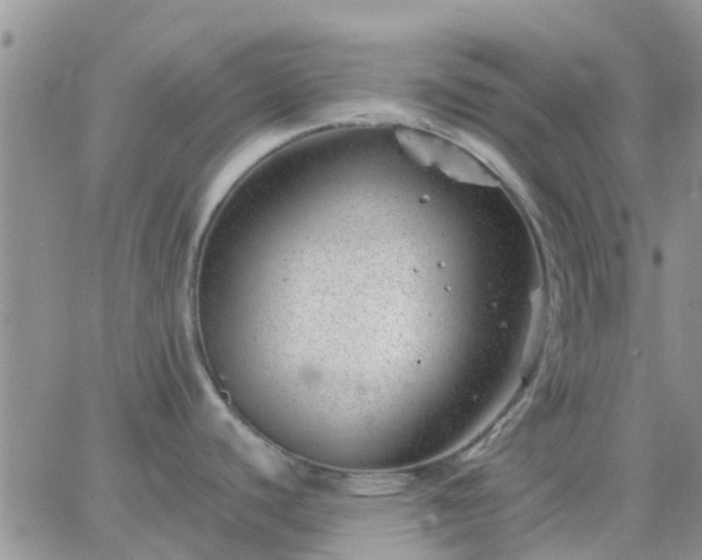 X0000065261440200602242104