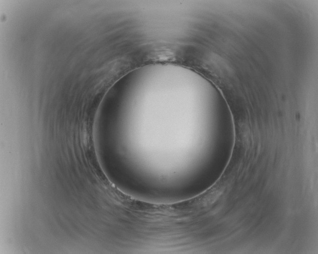 X0000065261442200602242103