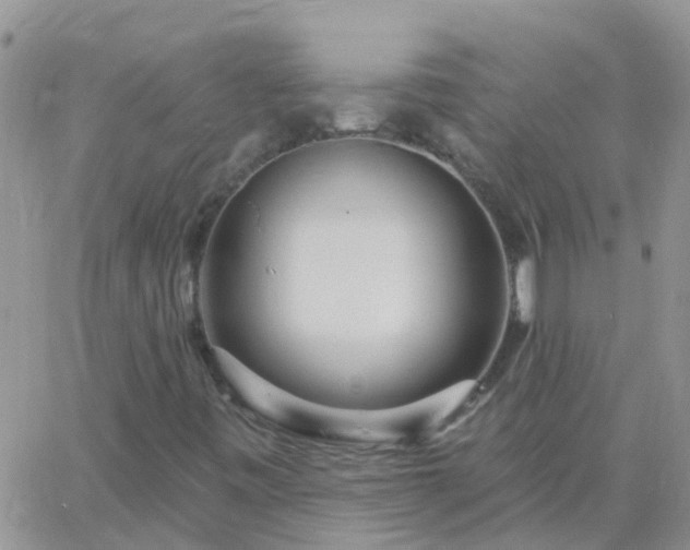 X0000065261443200602242103