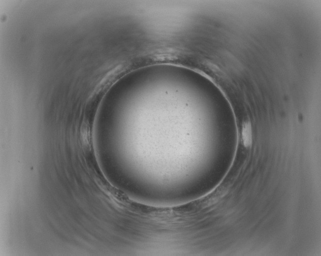 X0000065261444200602242103