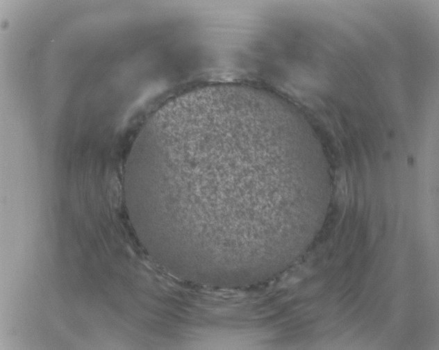 X0000065261446200602242103