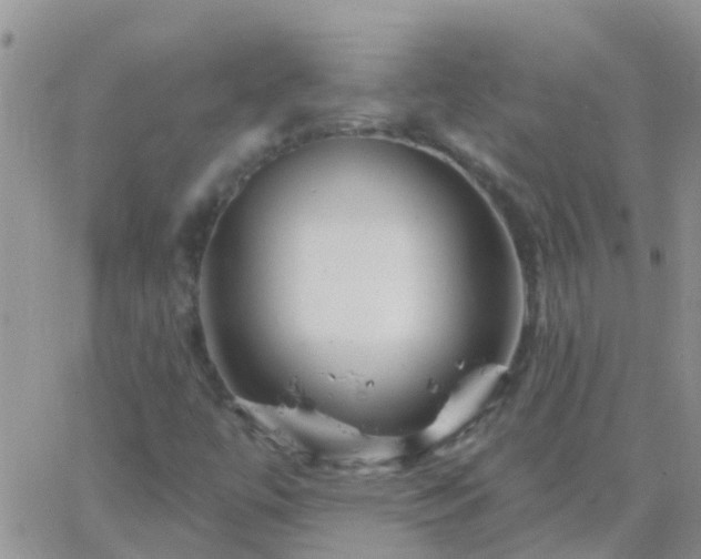 X0000065261447200602242103