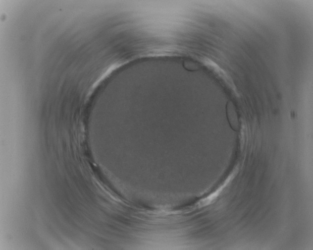 X0000065261449200602242103