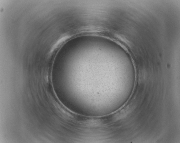 X0000065261451200602242103