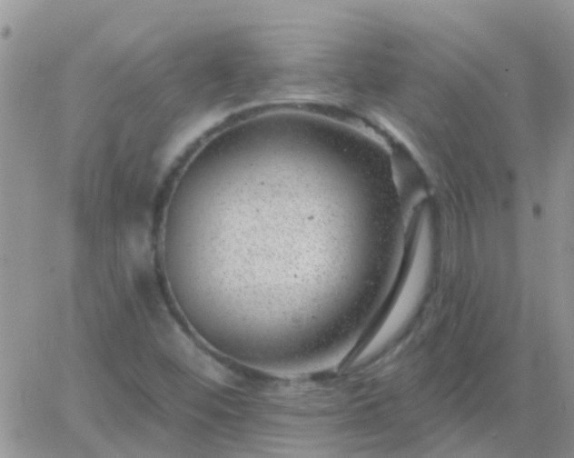 X0000065261452200602242103