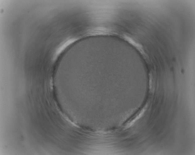 X0000065261453200602242103