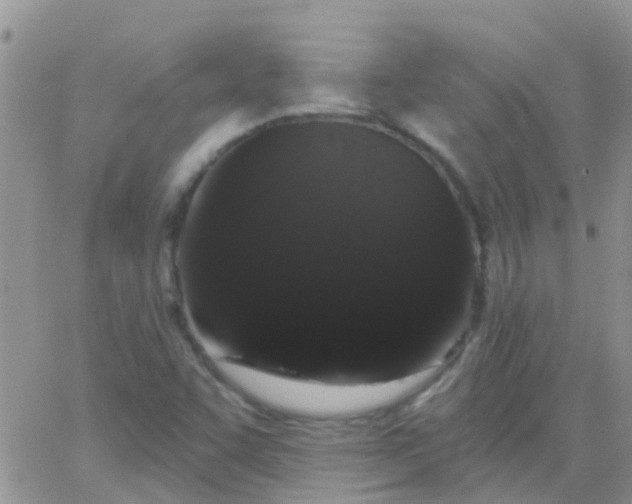 X0000065261455200602242103