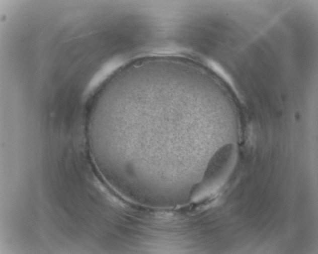 X0000065261456200602242103