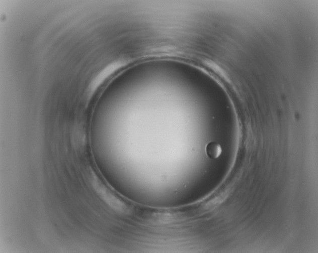 X0000065261458200602242102