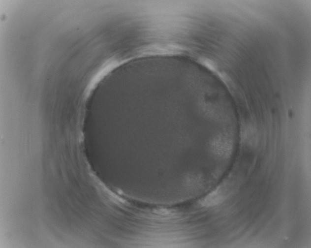 X0000065261459200602242102