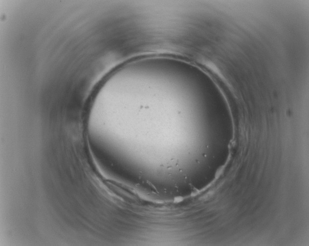 X0000065261460200602242102