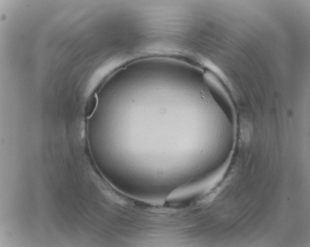 X0000065261461200602242102