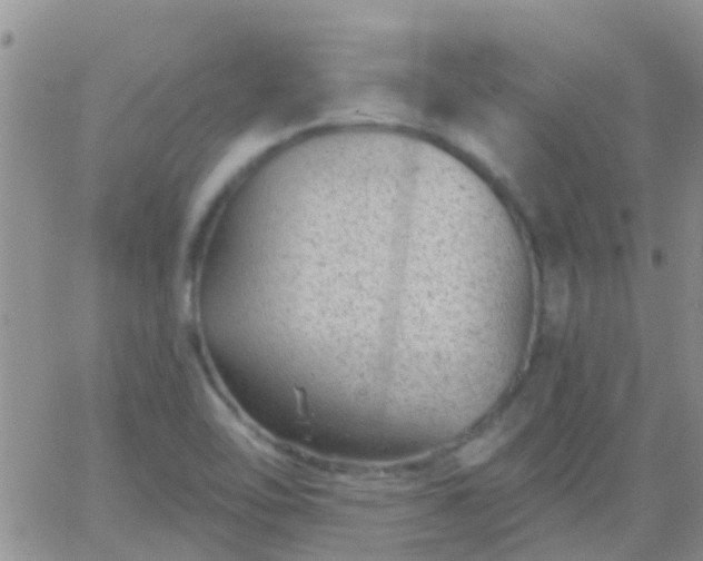 X0000065261462200602242102