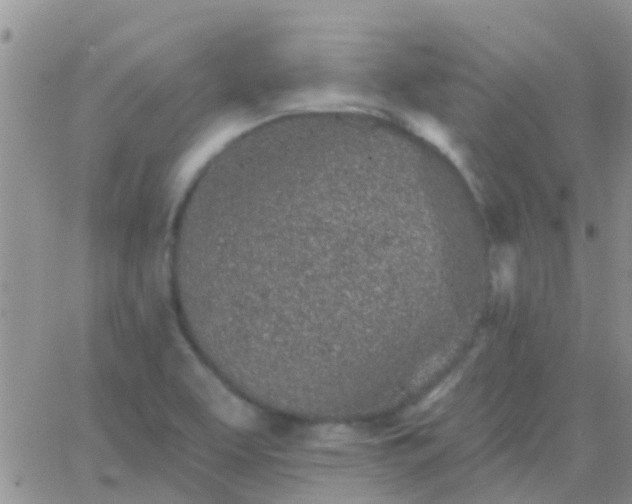 X0000065261463200602242102