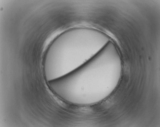 X0000065261464200602242102