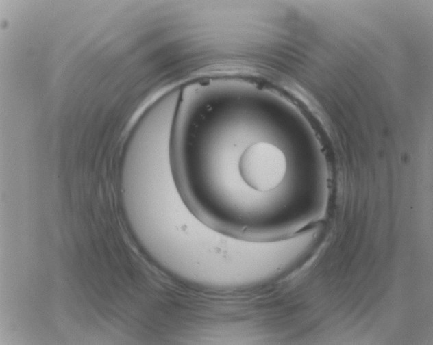 X0000065261465200602242102