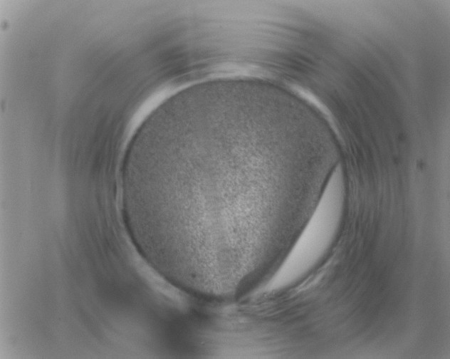 X0000065261467200602242102