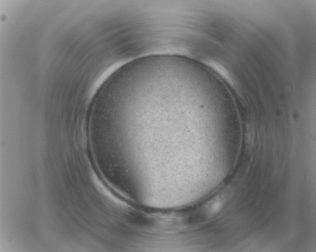 X0000065261468200602242102