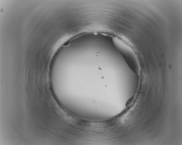 X0000065261469200602242102