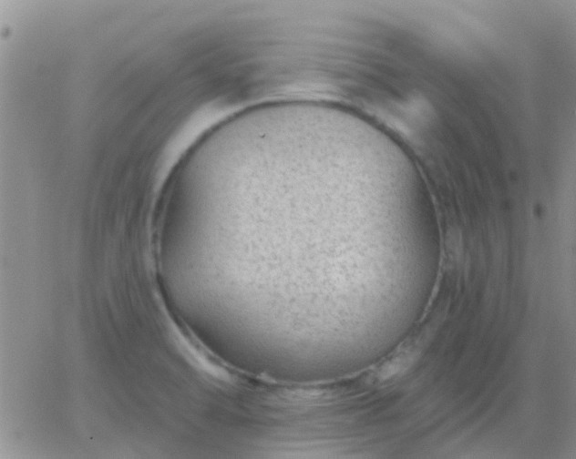 X0000065261470200602242102