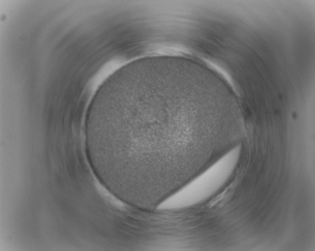 X0000065261471200602242102