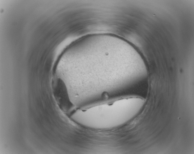 X0000065261472200602242102