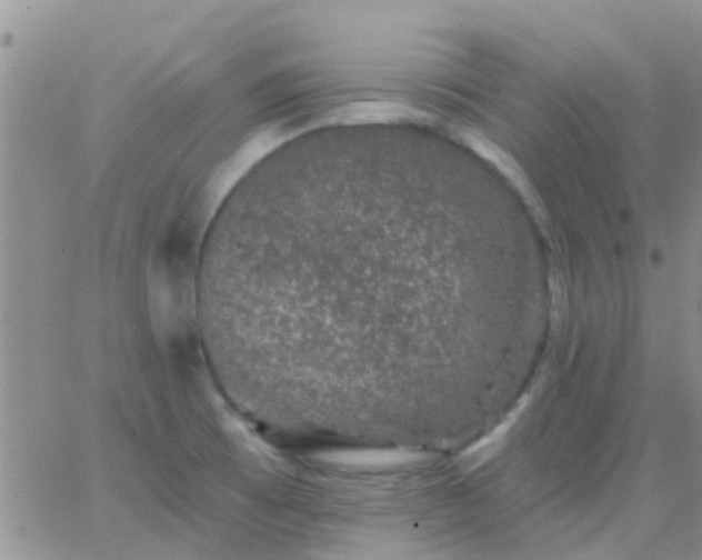 X0000065261473200602242102