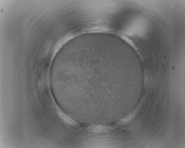 X0000065261474200602242102