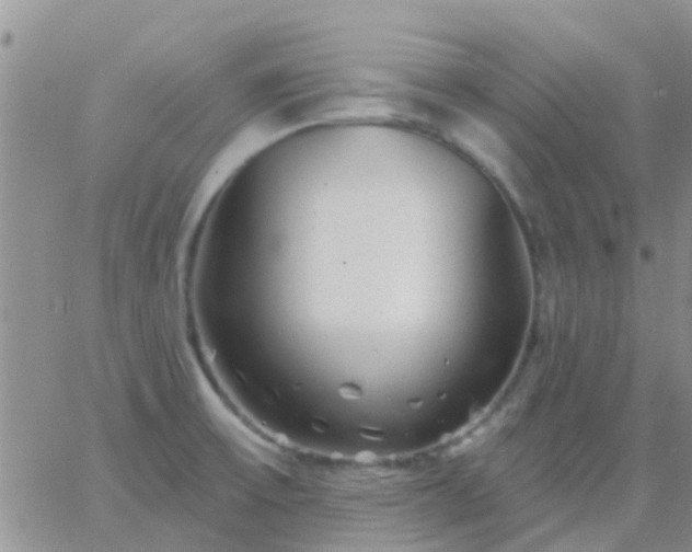 X0000065261475200602242102