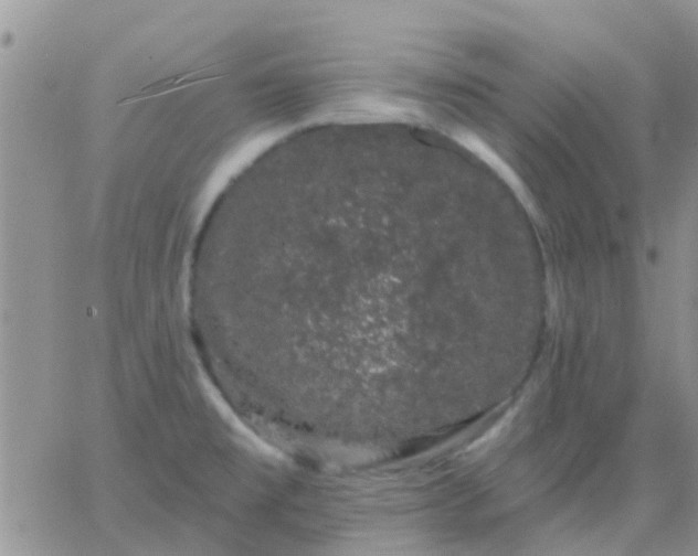 X0000065261477200602242102